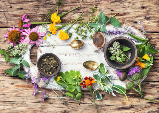 When Wellness Silences Us — And Why I Chose a Different Path