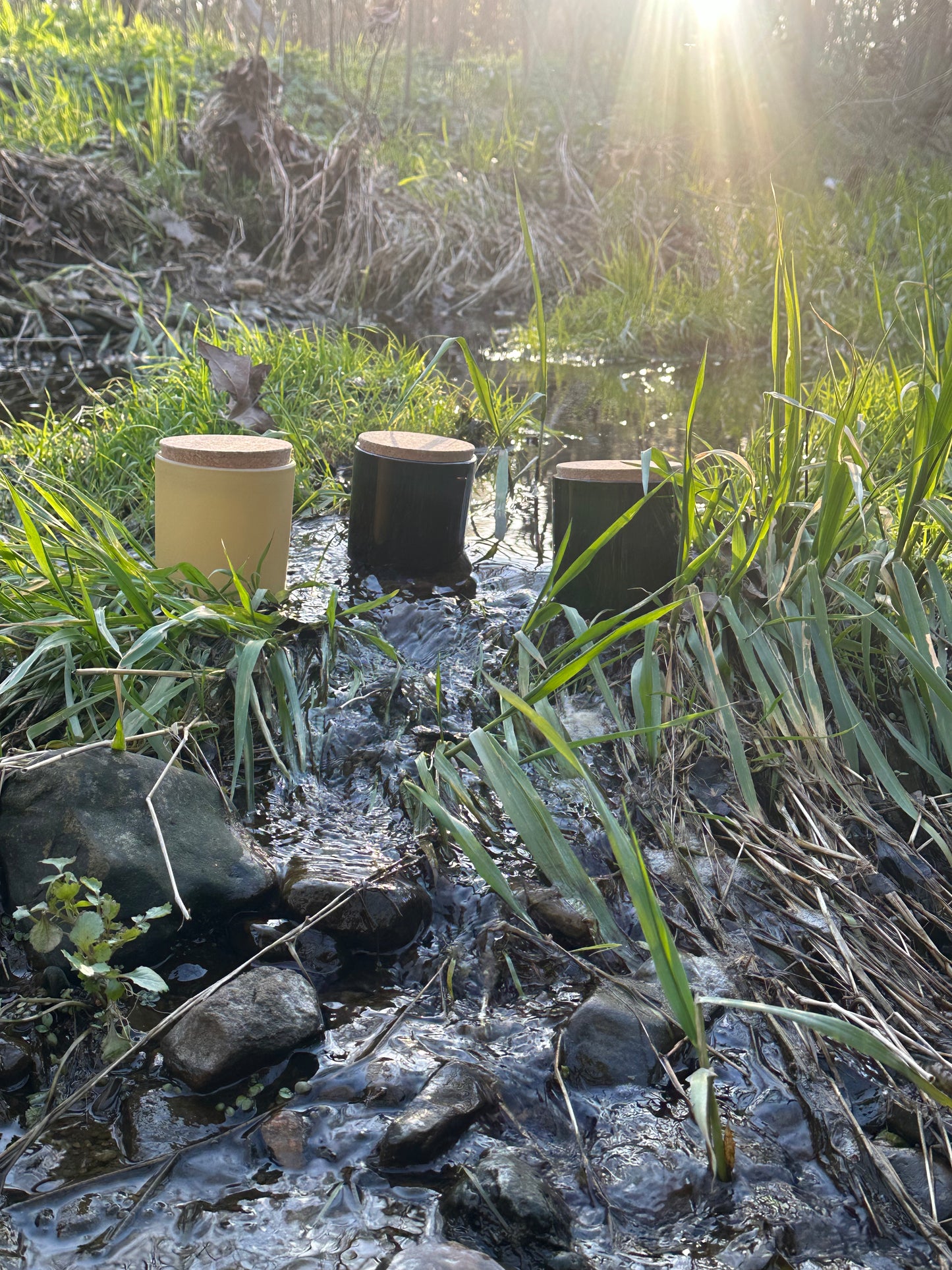 Yuzu Forest Soy Candle