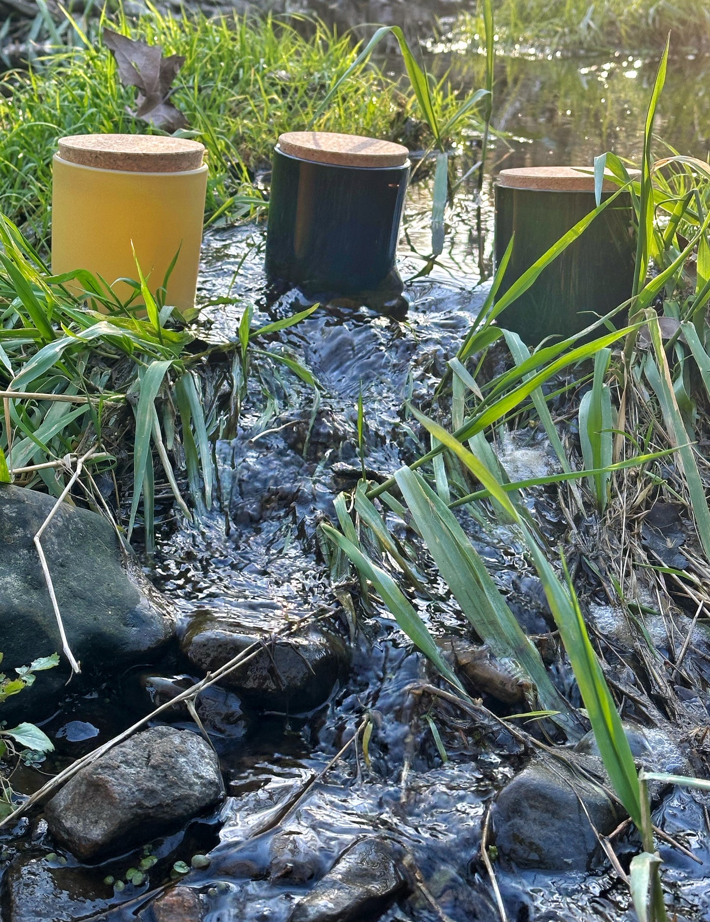 Yuzu Forest Soy Candle