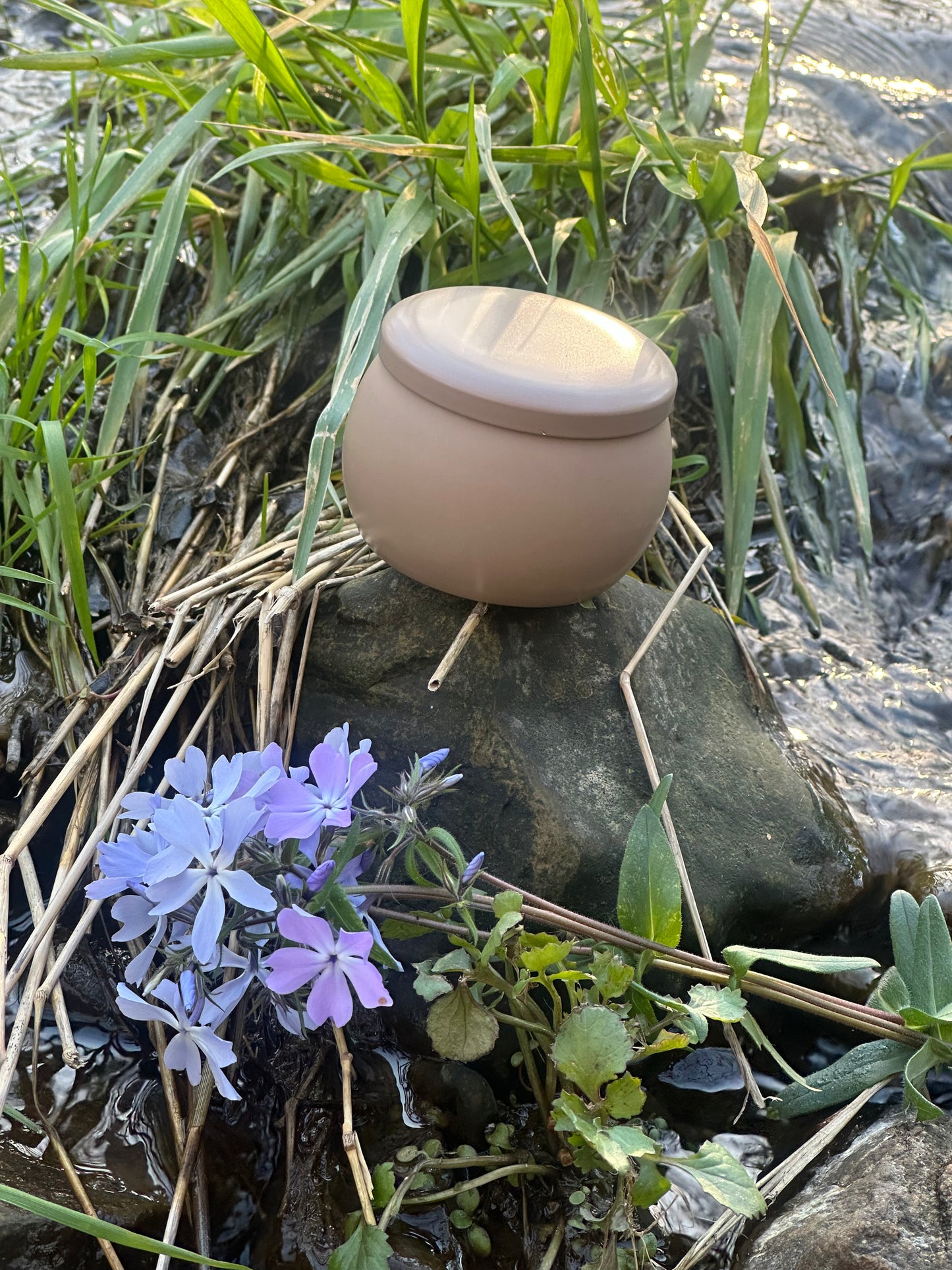 Yuzu Forest Soy Candle