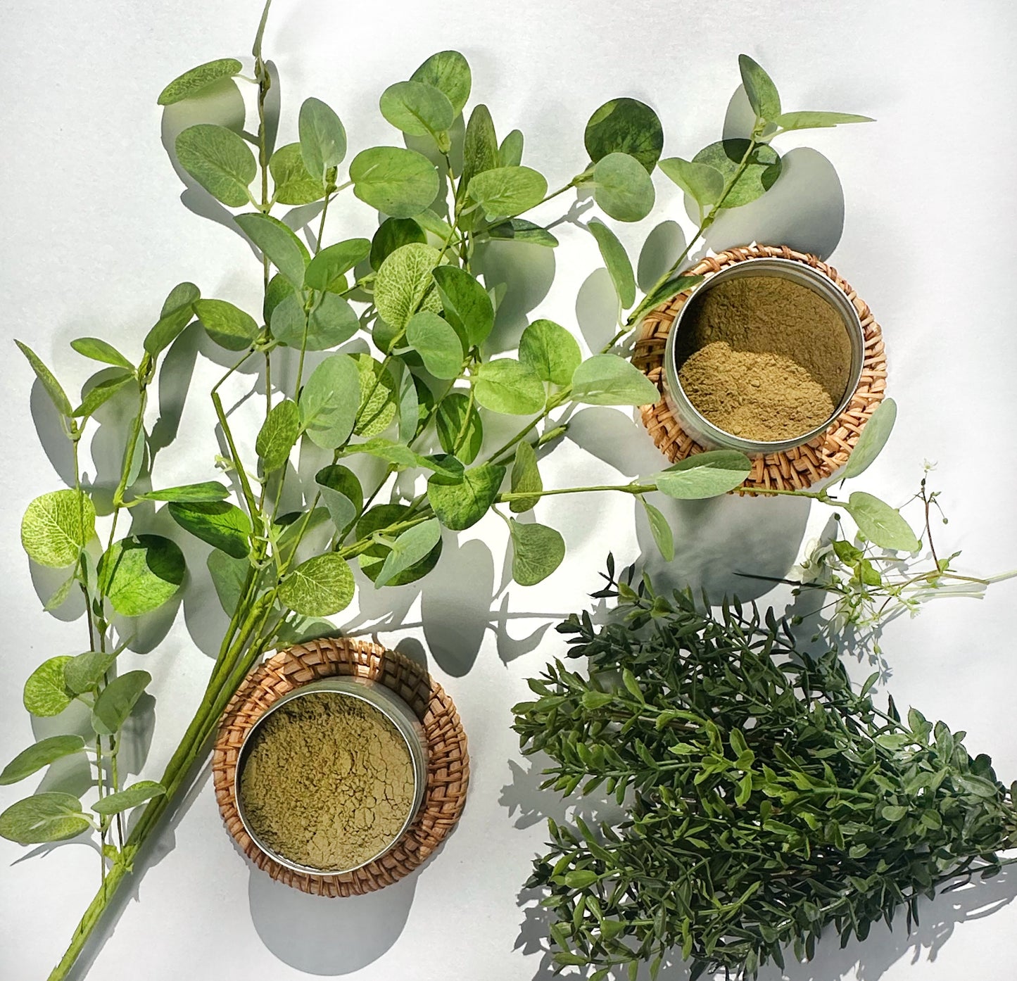 Digestive Powder