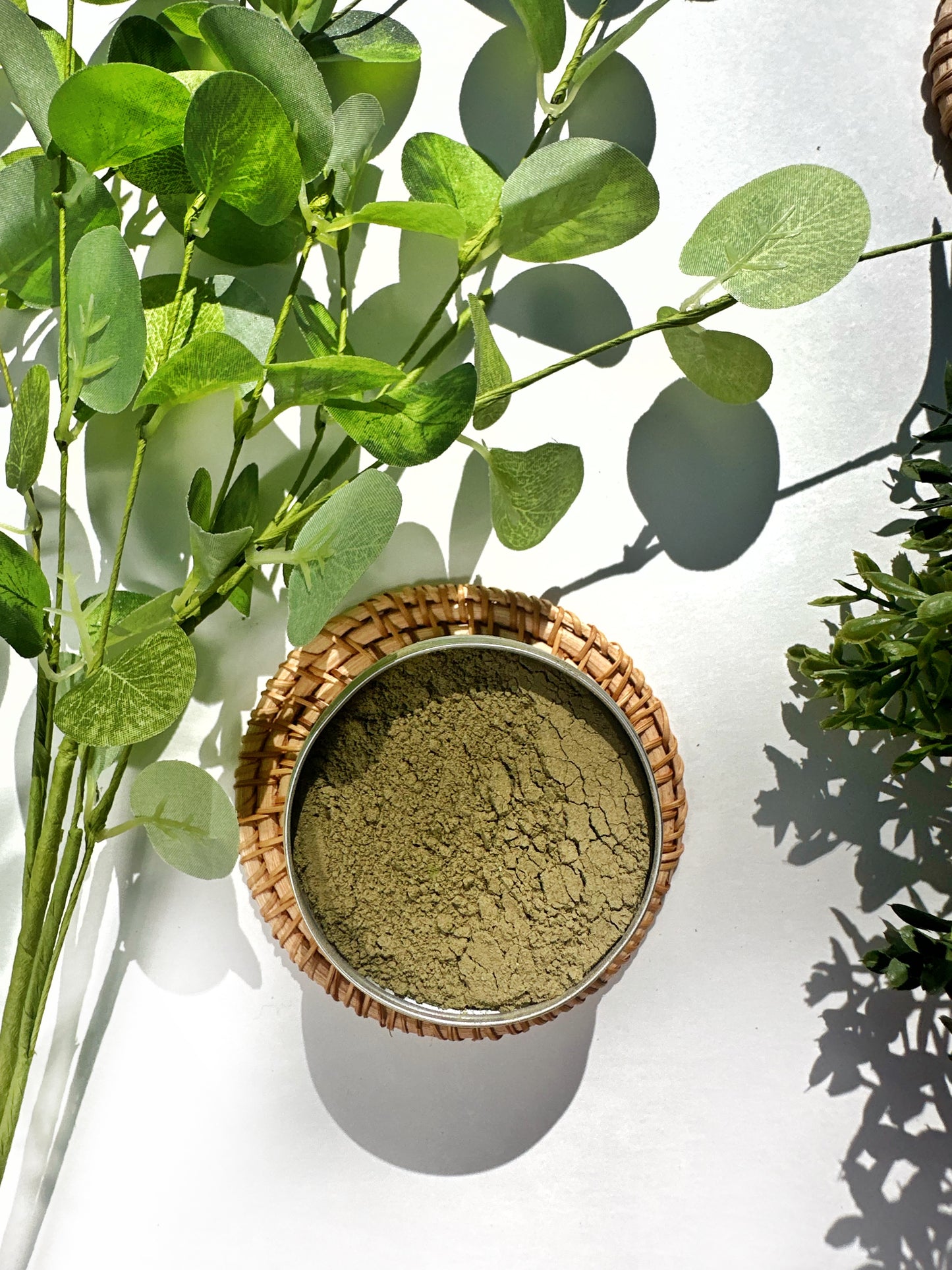 Digestive Powder