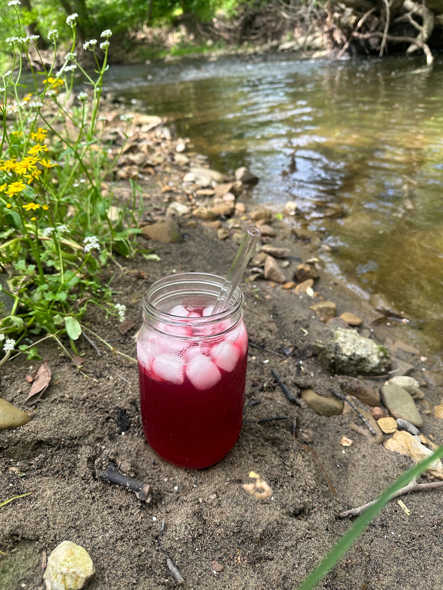 Petal Juice Loose Tea Blend