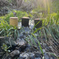 Yuzu Forest Soy Candle