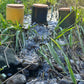 Yuzu Forest Soy Candle
