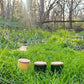 Herb Garden Soy Candle