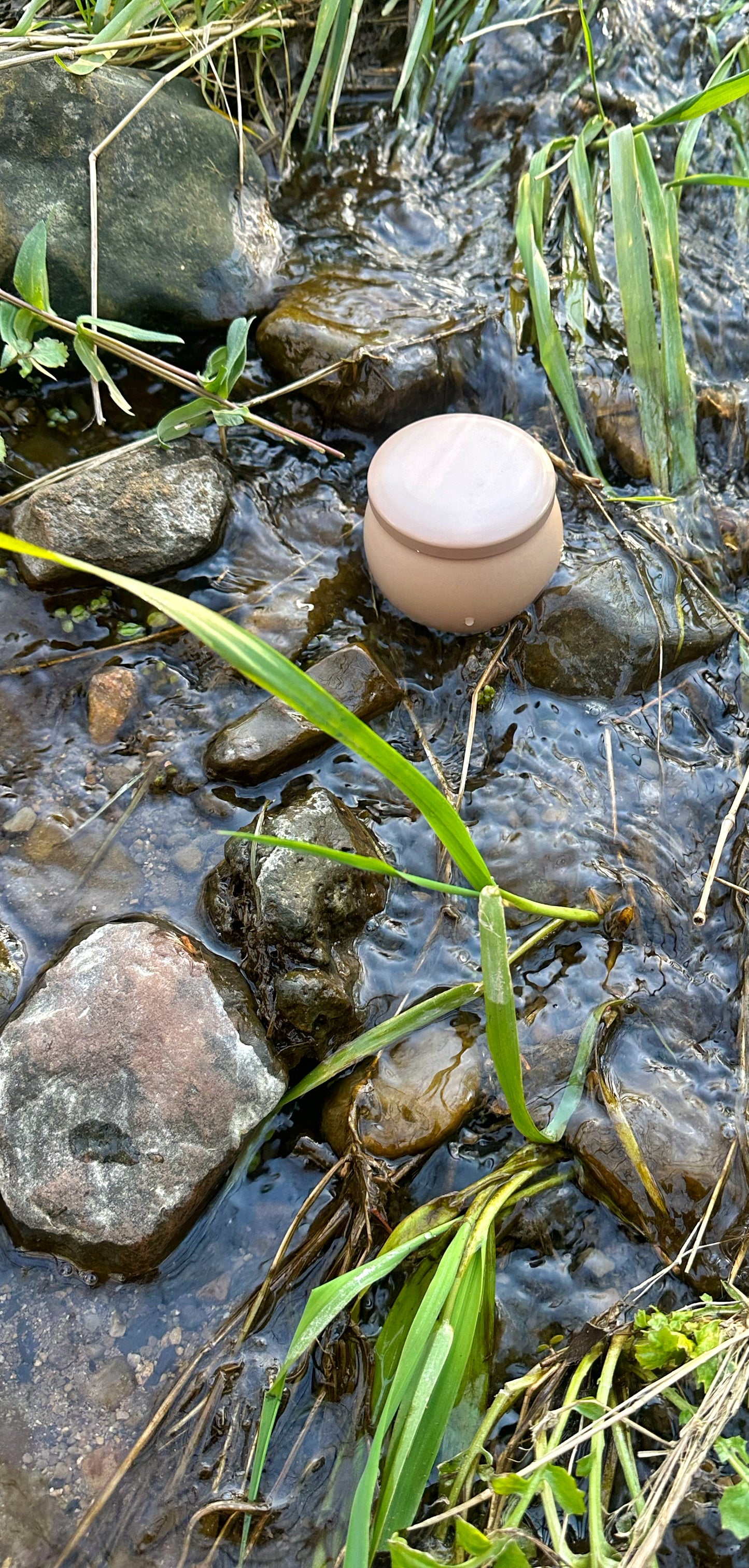 Herb Garden Soy Candle