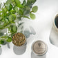 Wellness Woods Loose Herbal Tea