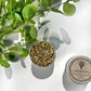 Wellness Woods Loose Herbal Tea