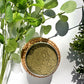 Digestive Powder